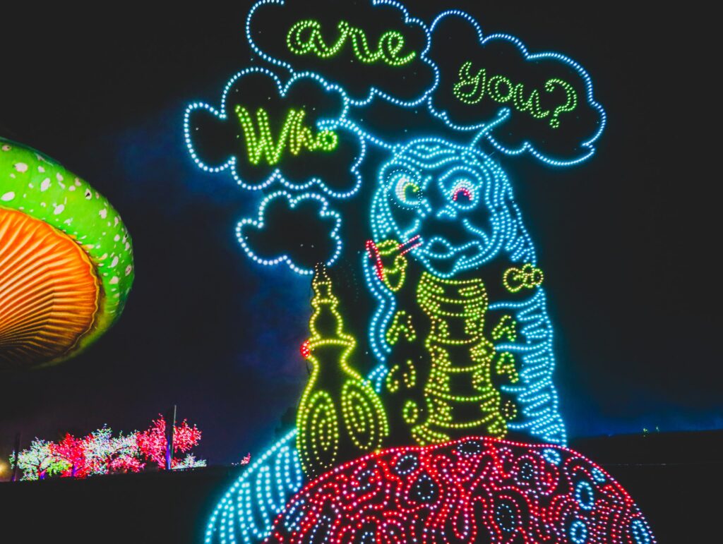Image of catepillar from Alice in Wonderland saying "Who are you?"