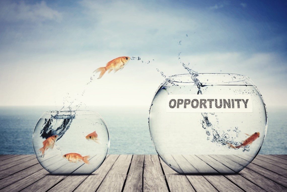 Fish jumping into a fishbowl of opportunity